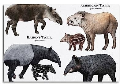 MITIN Vintage-Tier-Poster, Tapirs-Kollektion, dekoratives Gemälde, Leinwand, Wand- und Kunstbild, Familien-Schlafzimmer-Dekoration, 40 x 60 cm