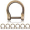 Ganzoo D - Ring mit Schraub-Bolzen aus Stahl, 6er Set, nachträglich montierbar, nichtrostend, Ideal mit Paracord 550, Farbe altgold