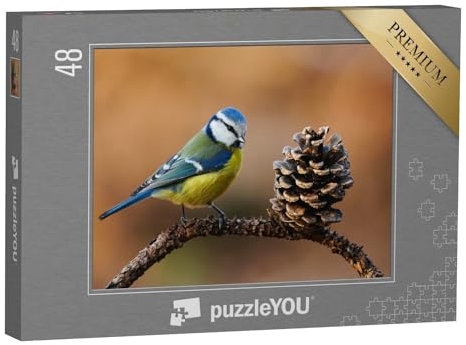 puzzleYOU: Puzzle 48 Teile „Schöne Blaumeise, Cyanistes caeruleus, im Herbst auf einem kleinen Zweig“ – aus der Puzzle-Kollektion Vögel