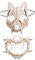 AOVNA 2 Pieces Halloween Skull Mask Tiger/Werewolf Cosplay Mask Skull Scary Mask Animal Cosplay Skeleton Skull Scary Party