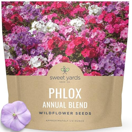 Phlox Annual Blend – Large 1/2 Ounce Seed Packet – 7,000 Flower Seeds for Planting – Phlox drummondii