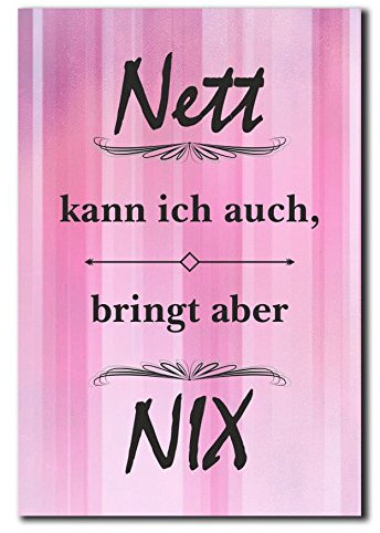 Hochwertiges Metallschild 30 x 20 cm aus Alu Verbund Nett kann ich auch bringt aber nix Deko Schild Wandschild