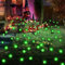 PATIOPIA Solarlampen für außen, 6 Stück Glühwürmchen Solarlampen mit 10 LEDs, Firefly Solar Gartenleuchten, wasserdicht Solar Glühwürmchen Leuchte, Halloween Deko, Terrasse, Hof, Weg, Garten (grün)