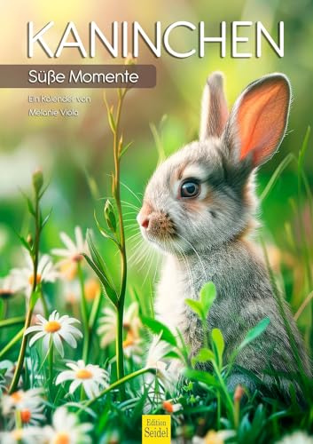 Edition Seidel Premium Kalender Kaninchen 2026 Format DIN A3 Wandkalender Tierkalender Hase Häschen Mümmler Tierkinder Wildtiere Waldtiere Haustiere Melanie Viola