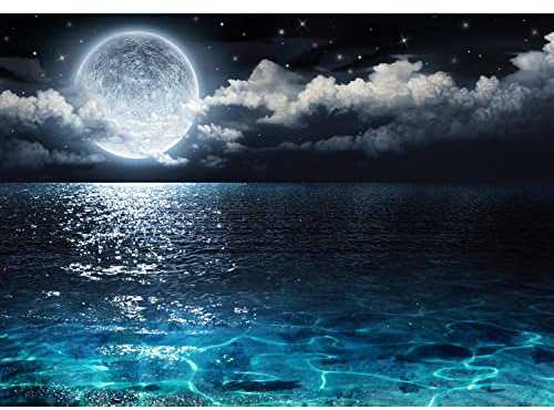 Runa Art Papier peint intissé 396 x 280 cm Pleine Lune Lac | Toison Décoration Murale Salon Chambre á Coucherr | Fabrication Allemande | noir Bleu 9489012a