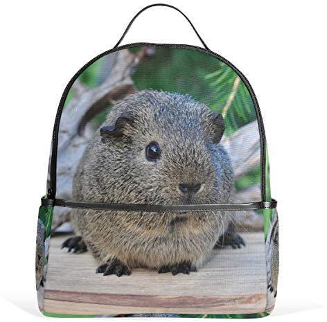 Eslifey Süßes Meerschweinchen Büchertasche Schulranzen Tagesrucksack Rucksack Schule für Studenten