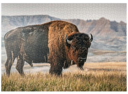 MyPuzzle Amerikanischer Bison in South Dakota - Premium 1000 Teile Puzzle - MyPuzzle Sonderkollektion von Puzzle Galaxy
