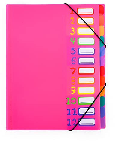 Projektmappe A4 Ordnungsmappe Pultordner 12/20 Fächer Pultmappe Personalmappe Mit Gummizug Sammelmappe Plastik Ringordner Wasserdichtes Ringbuch Personalhefter für Schule Büro Kunst Business (Rosa)