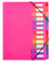 Projektmappe A4 Ordnungsmappe Pultordner 12/20 Fächer Pultmappe Personalmappe Mit Gummizug Sammelmappe Plastik Ringordner Wasserdichtes Ringbuch Personalhefter für Schule Büro Kunst Business (Rosa)