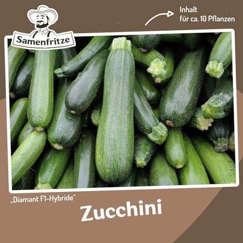 Zucchini Diamant F1 Samen für ca. 10 Pflanzen - glatte, zylindrische Früchte