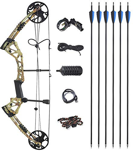ZSHJG Compound Bogen Set Bogenset für Bogenschießen Sportbogen Verstellbarer Jagd Compoundbogenset 15-70 lbs 320fps Rechte Hand Jagdausrüstung mit Komplettes Zubehör Kit (Typ 3)