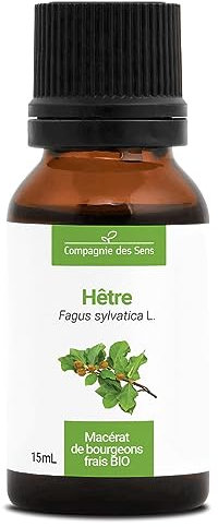 Hêtre BIO - 15mL - (Fagus Sylvatica) – Macérat concentré de bourgeons frais