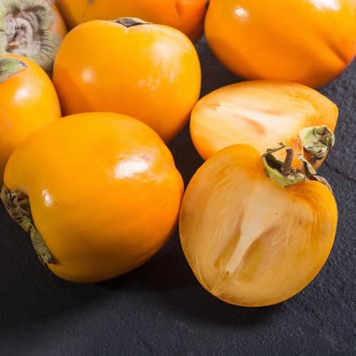 Kaki Baum Samen、 bio saatgut、pflanzen winterhart draußen säulenobst winterhart pflanzensamen、schnell wachsender pflanzen garten、Farbenprächtige zimmerpflanzen、pflanzen samen 50pcs