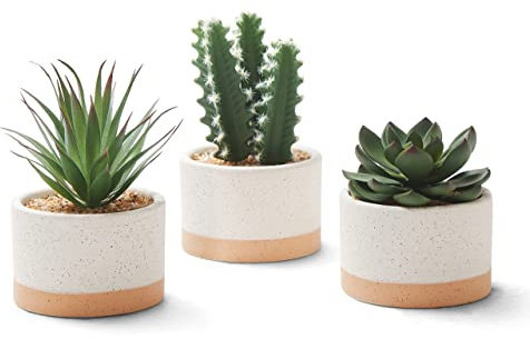 ASTRIDIA Artificial Succulent Plants in Ceramic Pots Set of 3