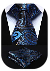 HISDERN Herren Krawatte Hochzeit Blau Paisley Krawatten Taschentuch Blumen Elegant Klassisch Krawatte & Einstecktuch Set