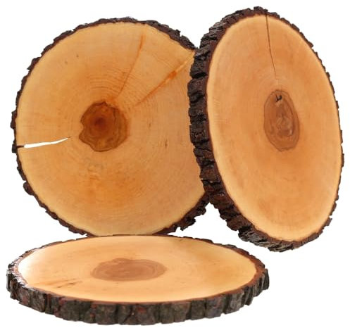 Bütic Rindenbrett Esche lackiert rund B-Ware - Baumscheibe Rindenscheibe, Brettgröße:Ø ca. 28cm