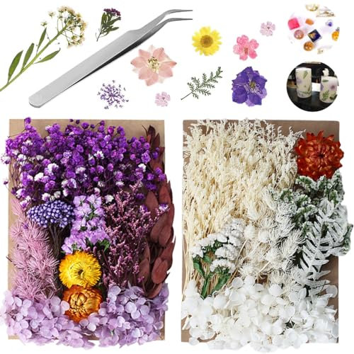 YZDZSW Natürliche Getrocknete Blumen, 2 Sätze Trockenblumen zum Basteln, Blumen Natürliche Gemischte Trockenblumen Set für Kunst Basteln DIY Dekoration