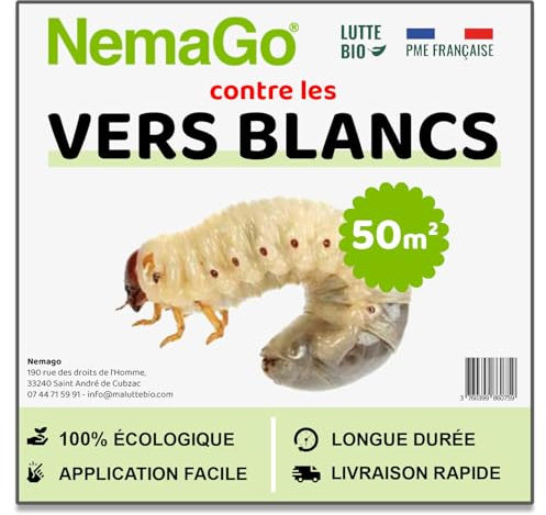 Nemago® - HB Nématodes Contre les Vers Blancs (25 Millions) - Couvre 50m² jardin, pelouses et plantes - Traitement lutte Biologique contre Hannetons & Otiorhynques