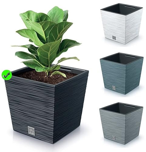 rg-vertrieb Blumenkasten Blumenkübel Blumentopf Pflanzkübel Quadrat Furu Low Tannennadeln Design mit Einsatz Struktur (240 Anthrazit)