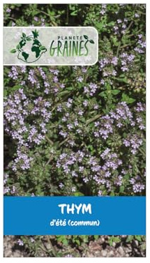 150 Graines de Thym d'Été - Variété Aromatique et Parfumé - Idéal Cuisine, Mellifère et très Résistant à la Sécheresse
