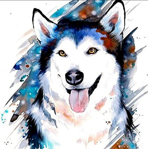 BIIONE Malen Nach Zahlen Kits Für Erwachsene Anfängermalen Nach Zahlen Hund Tier Ölbild Nach Zahlen 40 X 50 Cm Ohne Rahmen Acryl-Ölfarben-Kits Moderne Wanddekorationkreative Digitale Leinen Leinwa
