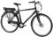 F.lli Schiano E-Moon, E Bike für die Stadt 28 Zoll, 36V 13Ah Abnehmbarer Akku, Motor 250W 40Nm, City Ebike für Herren, Schwarz