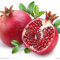 15 Seeds - Granatapfel-Baum-Samen (Punica granatum)