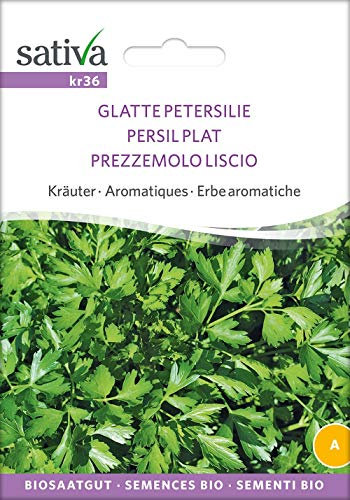 Sativa Rheinau kr36 Glatte Petersilie (Bio-Petersiliensamen)