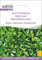 Sativa Rheinau kr36 Glatte Petersilie (Bio-Petersiliensamen)