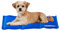 Relaxdays Kühlmatte Hund, selbstkühlend, abwischbar, robust, mit Gel, Kühldecke für Tiere, Kältedecke 20 x 35 cm, blau
