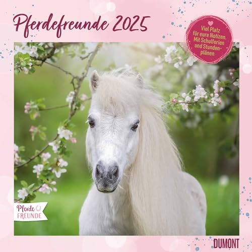 DUMONT - Pferdefreunde 2025 Broschürenkalender, 30x30cm, Wandkalender mit Pferde-Motiven, mit Stundenplan und Schulferien
