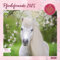 DUMONT - Pferdefreunde 2025 Broschürenkalender, 30x30cm, Wandkalender mit Pferde-Motiven, mit Stundenplan und Schulferien