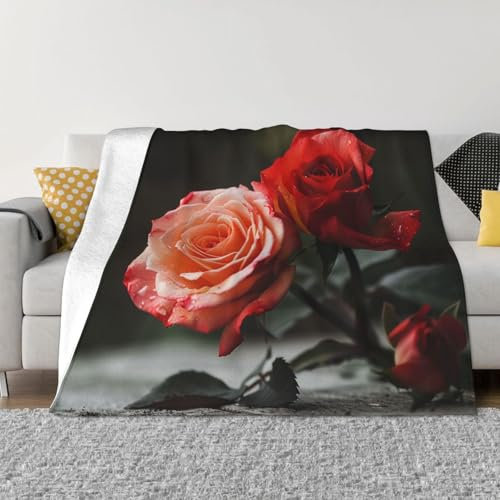 Flanell-Fleecedecke, Couch, Bettdecken, volle Größe, weiche, gemütliche Decken, Queen-Size-Größe, für alle Jahreszeiten, 101,6 x 76,2 cm, Rosenmuster