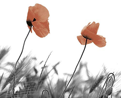 Tischdeko 20 Stück Serviette Mohnblumen Blumenwiese Sommer