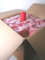 Gasfritzen 100 x Rote Schutzkappe für Propangasflaschen 3 kg 5 kg 11 kg Gasflasche Gas