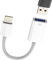 Adattatore Lightning USB OTG 3.0 Cavo Connettore per iPhone14 13 12 Certificato MFI per Apple per iPad Lettore Schede Fotocamera Digitale Foto Tastiera Mouse Accessori Computer Connessione Stick