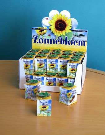 Helza Blumensamen Sonnenblume - 40 Stück, leicht anzubauen, April bis Juni