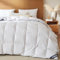 BedFabtasy Premium Zwickel Daunendecke 240x220cm Winterdecke, Warme Winter Bettdecke 240x220 mit Gänsedaunen und Federn, 100% Geräuschloser Bio-Baumwolle, Öko-TEX 100, DOWN Pass, RDS Zertifiziert