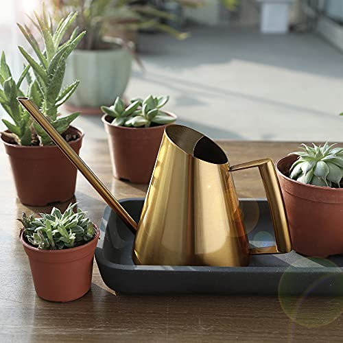 Edelstahl Gießkanne, gießkanne Metall giesskanne zimmerpflanzen 1500ML Blumengießkanne Gartengießkanne für Topfpflanzen, Zimmerpflanzen, Terrassenpflanzen, Hängepflanzen und Gärten