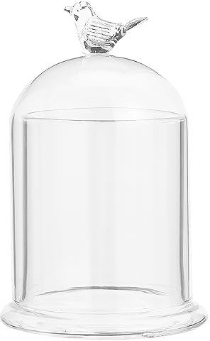 CHGCRAFT Cloche en Verre à Motif D'Oiseau en Forme d'arc Terrarium avec Base en Verre Vitrine Décorative pour Bougeoir Fleur Éternelle Plante Garage Kits D'Affichage, Clair