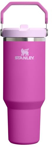 STANLEY Unisex's The IceFlow Flip Straw Jug | Easy Carry Handle | Twist On Lid and Flip Up Straw | Leakproof Water Bottle | Insulated Stainless Steel | BPA-Free