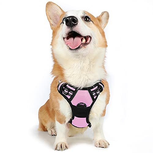 rabbitgoo Hundegeschirr Mittelgroße Hunde, Anti Zug Geschirr mit Kontrolle, No Pull Verstellbar Hundegeschirr Grosse Hunde, Atmungsaktiv Reflexstreifen Brustgeschirr Sichere Führung Rosa M