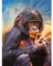 GermYan Bricolage Peinture par numéro Singe Peint à la Main Art Mural Peinture à l'huile par numéros Kits orang-outan Cadeaux Uniques Faits à la Main