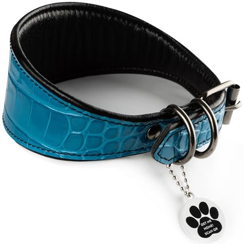 FAVPET Luxus Echtleder Windhund Halsband Breit mit QR Code Anhänger, Weiches Lederhalsband Hund Breit Whippet Italienisches Windspiel Saluki Lurcher Spanischer Galgo Greyhound Podenco (Blau, S)
