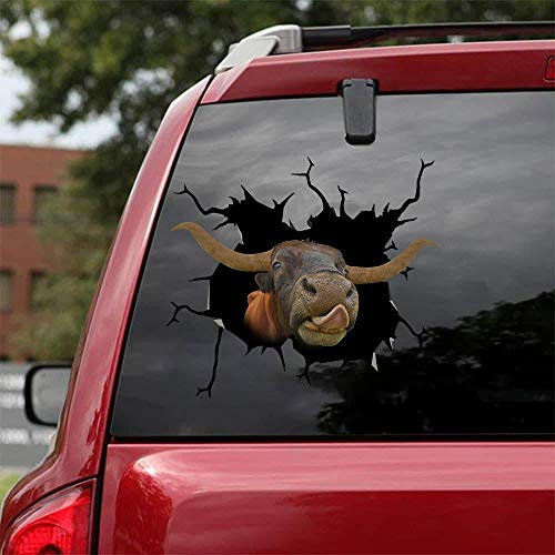 Ocean Gift Texas Longhorn Kuh Autoaufkleber, Wandaufkleber, 2 Stück – Realistische Autoaufkleber Design Serie 14 Größe 25,4 x 25,4 cm