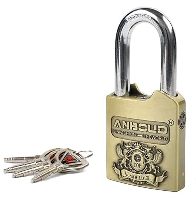 Cadenas d'alarme – Antivol robuste – Alarme sonore de 120 dB et 4 clés – Cadenas résistant aux intempéries pour abri de jardin, garage, casier, portes coulissantes, armoires et plus encore – (12 mm)
