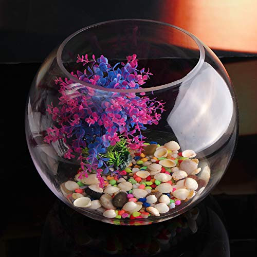 MASUNN Round Clear Glass Vase Fish Tank Ball Bowl Flower Planter Terrarium Home Decor - 25Cm