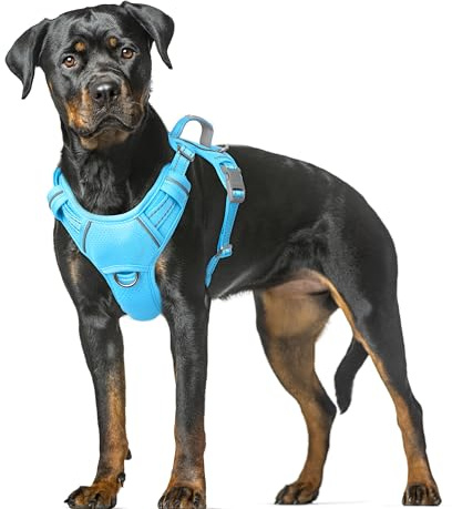 BARKBAY No Pull Dog Harness Large Reflective Dog Harness with Front Clip and Easy Control Handle for Walking Training Running with ID tag Pocket(Blue,XL)