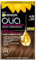 Garnier Olia Tinta Capelli, Colorazione Permanente Senza Ammoniaca, Fragranza Delicata, Copre il 100% dei Capelli Bianchi, Oli di Fiore di Origine Naturale, Castano Chiaro Cioccolato