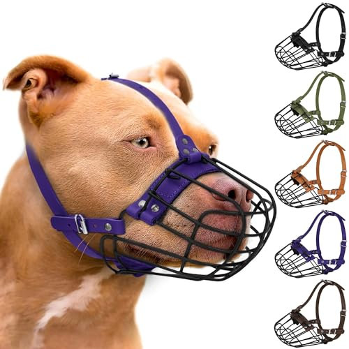 Pitbull Maulkorb für Hunde, atmungsaktiv, Metallkorb für große Hunde, Amstaff Staffordshire Terrier, sichere Drahtmaske, verstellbar, langlebig, Lederriemen, Beißen, Kauen, Bellen (groß, lila)